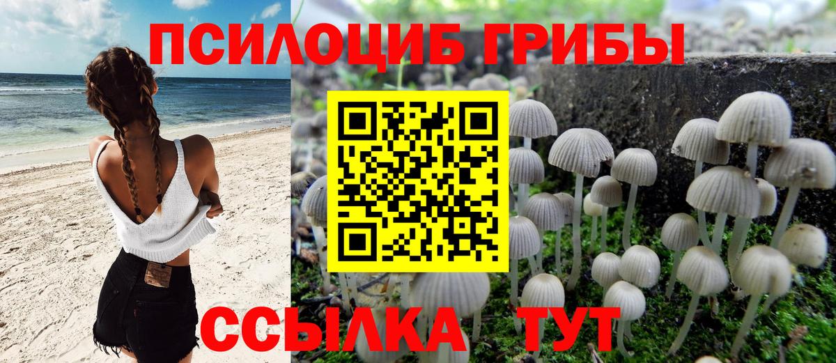 где купить   Псилоцибиновые грибы прущие грибы  Вход с VPN  Сызрань 