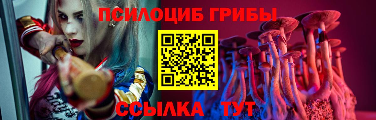 Псилоцибиновые грибы мухоморы Сызрань